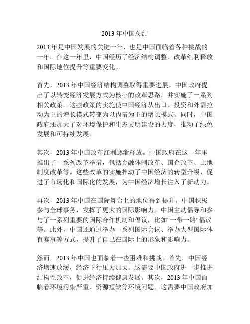 2013年中国总结