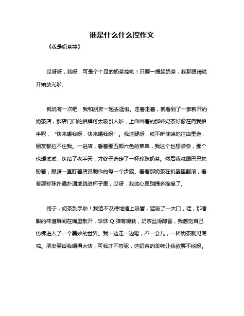 谁是什么什么控作文