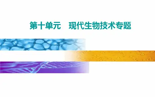第十单元第二讲细胞工程-高考总复习生物课件