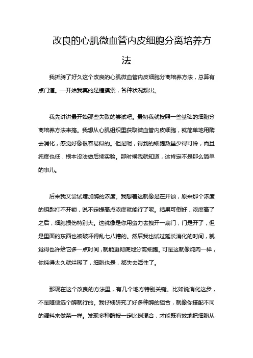改良的心肌微血管内皮细胞分离培养方法