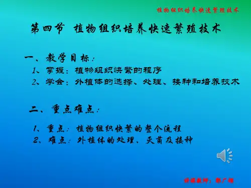 第四节  植物组织培养快速繁殖技术
