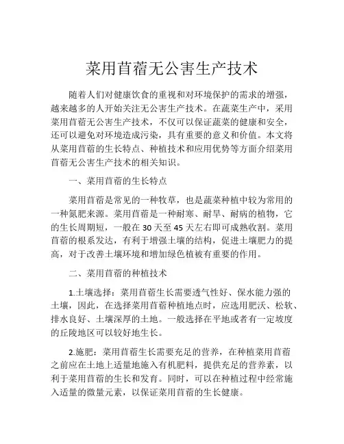 菜用苜蓿无公害生产技术
