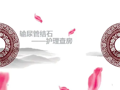 输尿管结石护理_查房PPT课件