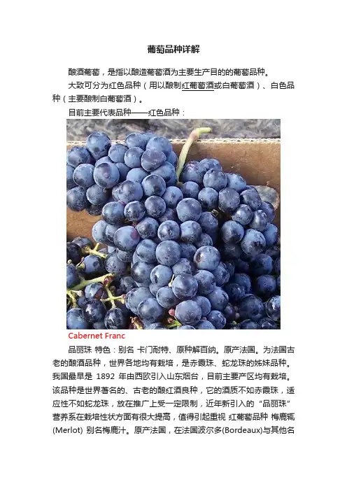 葡萄品种详解