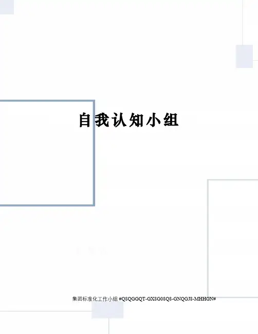 自我认知小组