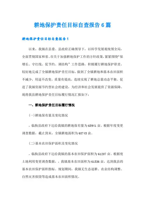耕地保护责任目标自查报告6篇