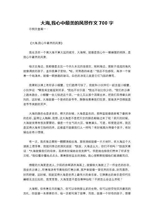 大海,我心中最美的风景作文700字