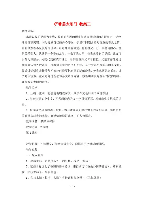 《“番茄太阳”》教案三