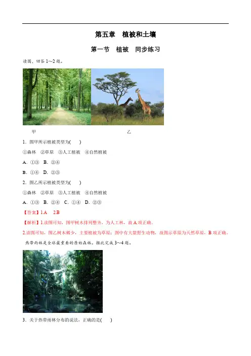 高中地理必修一 第5章第1节 植被同步练习(含答案)