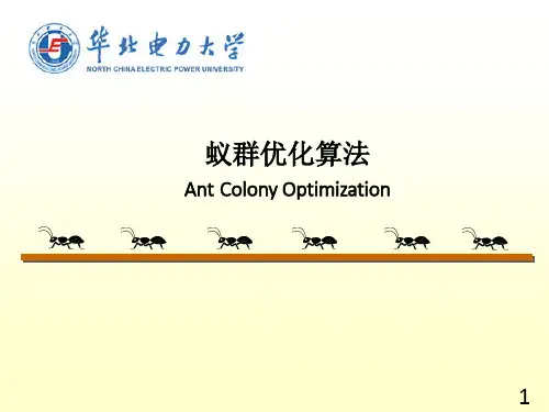 蚁群优化算法