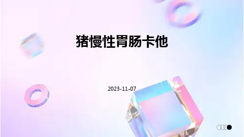 猪慢性胃肠卡他