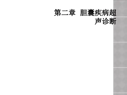 第二章  胆囊疾病超声诊断