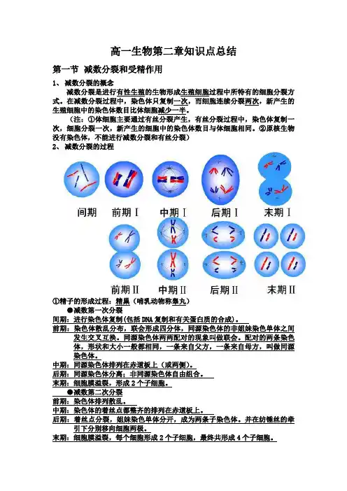 高一生物第一、二、三章知识点总结