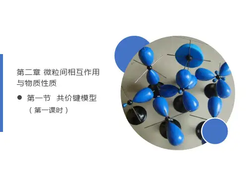 共价键模型2021-2002学年高中高二下学期鲁科版(2019)选择性必修2