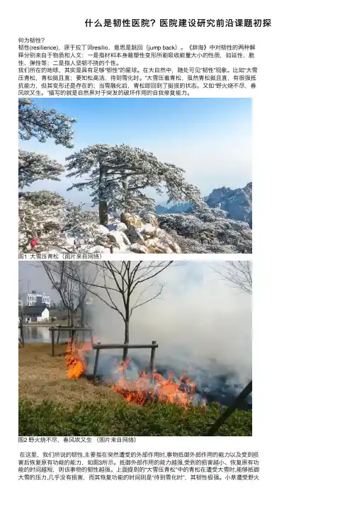 什么是韧性医院？医院建设研究前沿课题初探