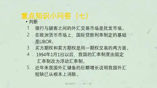 国际金融学--------(第十二章)课件