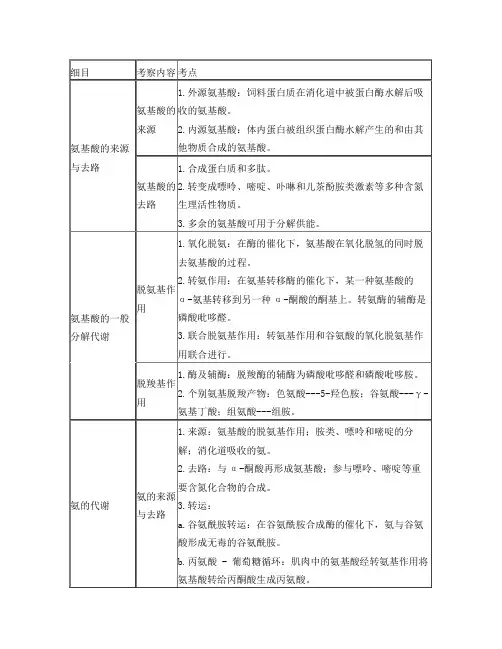 动物生化---含氮小分子的代谢
