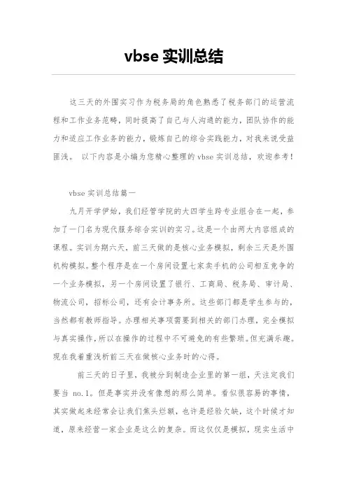 vbse实训总结