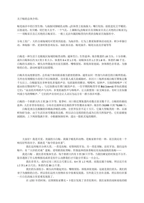 关于鲸的总体介绍
