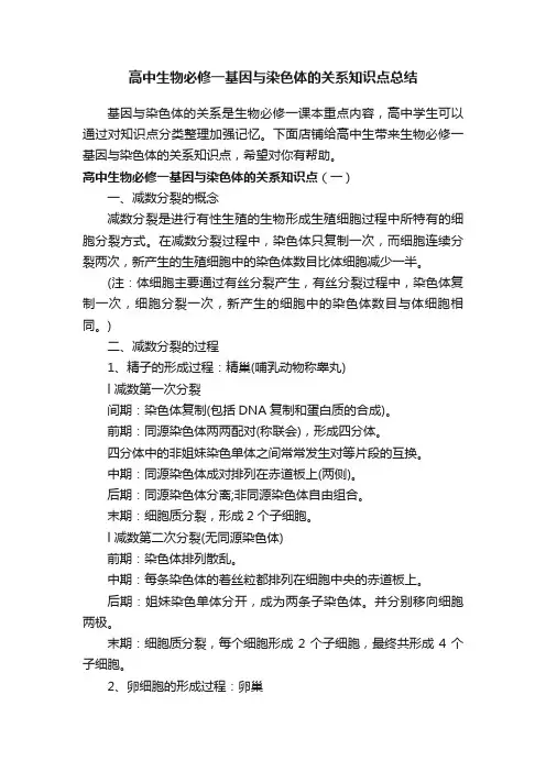 高中生物必修一基因与染色体的关系知识点总结
