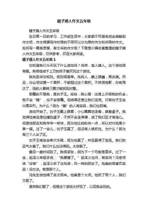 瞎子摸人作文五年级