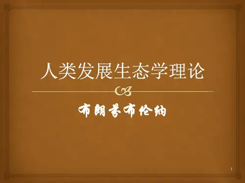 布朗芬布伦纳ppt课件
