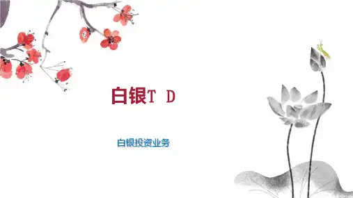 白银T D 