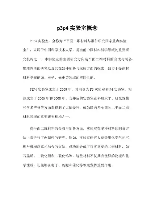 p3p4实验室概念