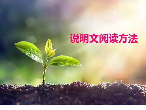 小升初复习   说明文阅读
