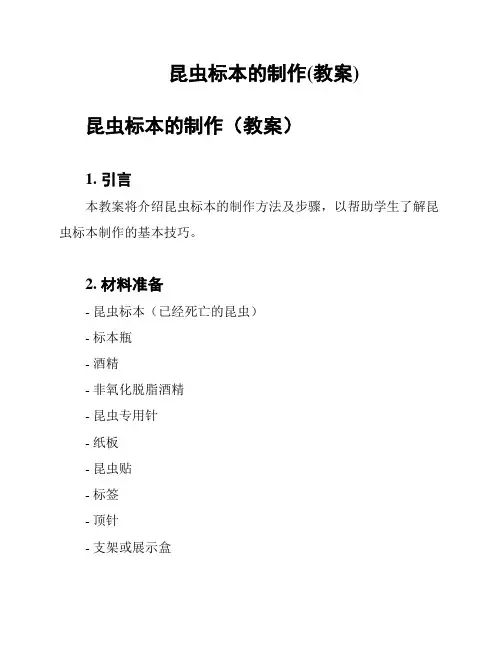 昆虫标本的制作(教案)