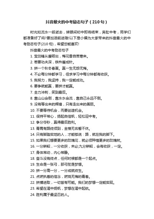 抖音最火的中考励志句子（210句）