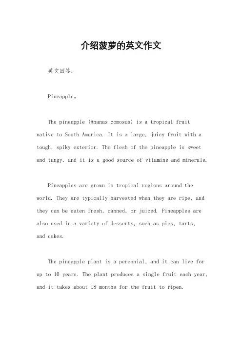 介绍菠萝的英文作文