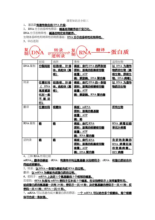 高中生物基础知识点之中心法则