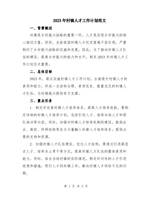 2023年村镇人才工作计划范文