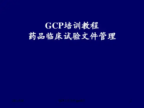 GCP文件管理 ppt课件