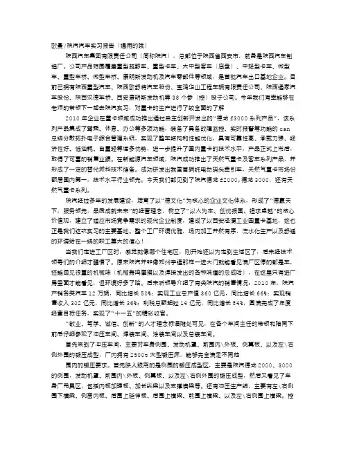 陕汽集团审计报告
