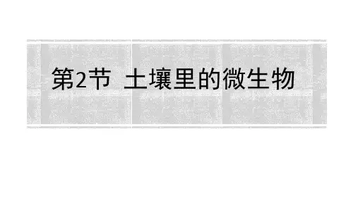 苏科版生物七下5.13.2《土壤中的微生物》课件 (共22张PPT)