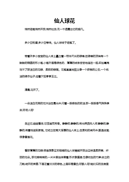 仙人球花开作文初一