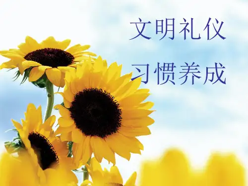 文明礼仪习惯养成ppt课件