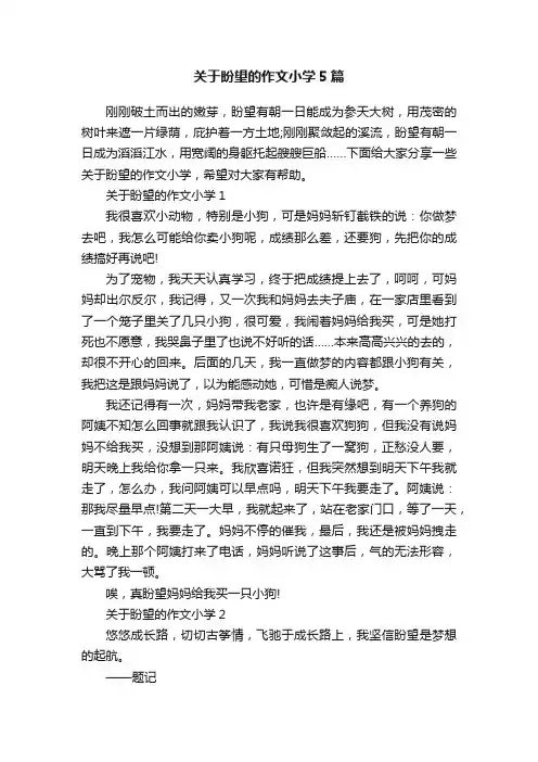 关于盼望的作文小学5篇
