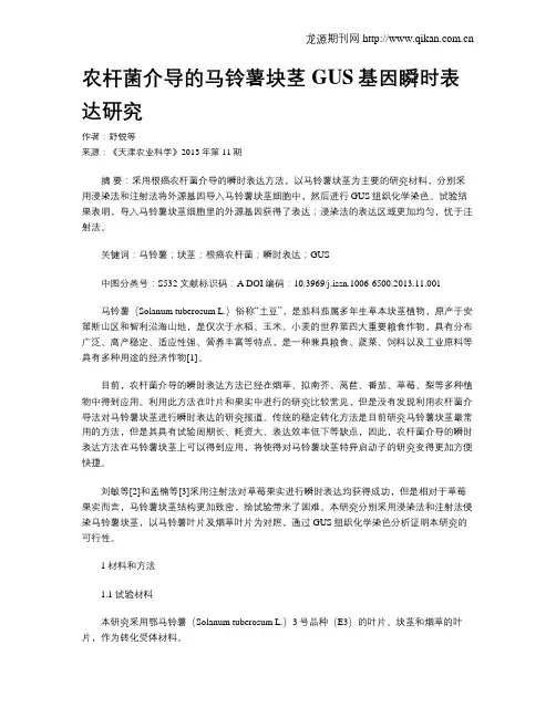 农杆菌介导的马铃薯块茎GUS基因瞬时表达研究