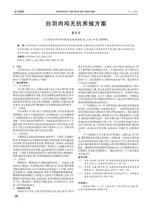 白羽肉鸡无抗养殖方案