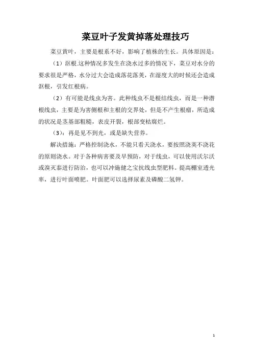 菜豆叶子发黄掉落处理技巧