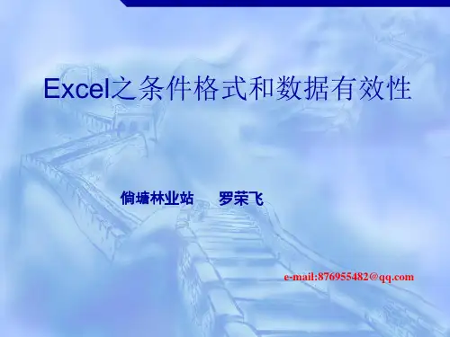 Excel之条件格式和数据有效性