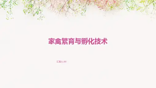 家禽繁育与孵化技术