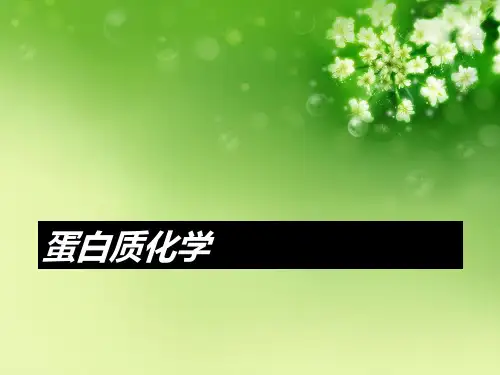 蛋白质化学 优秀课件