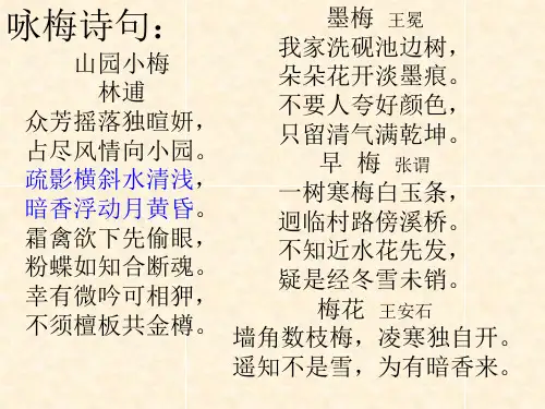 卜算子咏梅比较阅读ppt课件