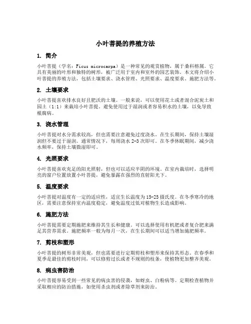 小叶菩提的养殖方法
