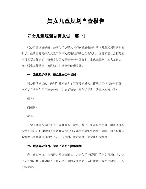 妇女儿童规划自查报告