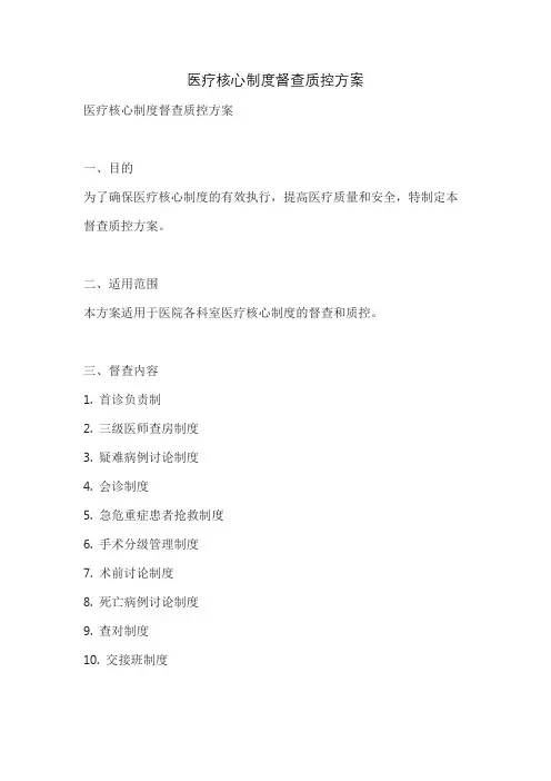 医疗核心制度督查质控方案